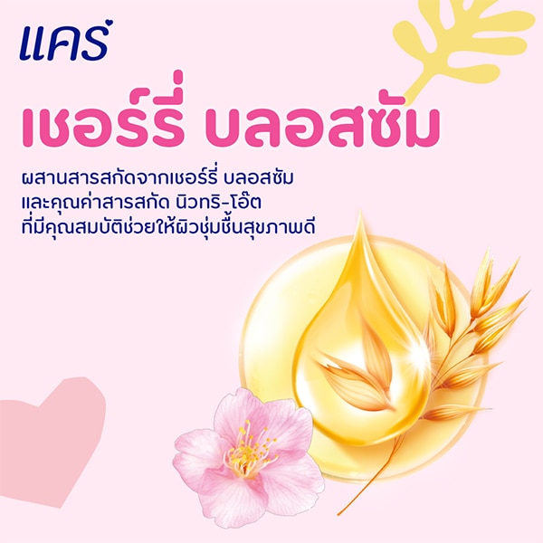 เเคร์ เฮดทูโท นิวทริ-โอ๊ต เเอนด์ เชอร์รี่บลอสซัม ผิวนุ่มชุ่มชื่นสุขภาพดี